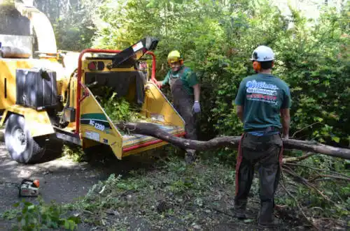 tree services Aplington